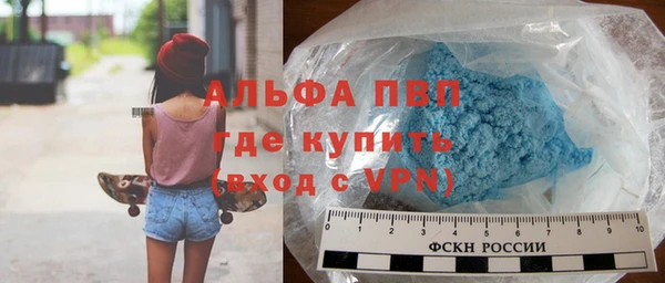 ГАЛЛЮЦИНОГЕННЫЕ ГРИБЫ Гусев