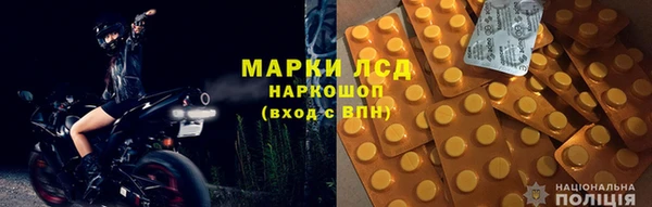 ГАЛЛЮЦИНОГЕННЫЕ ГРИБЫ Гусев
