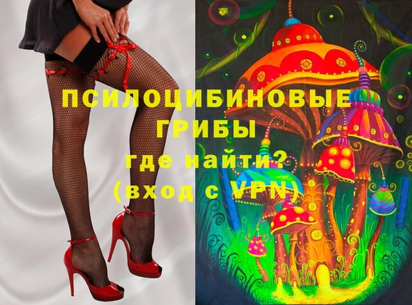 прущий лед Гусь-Хрустальный