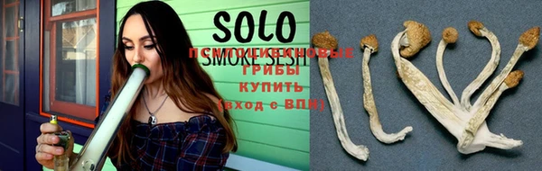 ГАЛЛЮЦИНОГЕННЫЕ ГРИБЫ Гусев