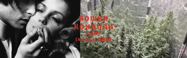 гидропоника Гусиноозёрск